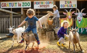 zoo pitești 1 iunie