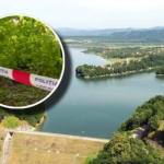 Crimă violentă! Bărbat atacat cu toporul în zona unor cabane de vacanță 10 crimă timiș