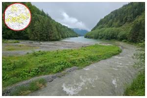 Sursă foto: Facebook Apele Române Argeș-Vedea