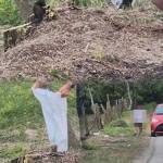 7189e5e9 3b99 4828 acd4 85b385279fc1 - (VIDEO) Pitești. A vrut să scape de pisici, dar s-a ales cu o amendă usturătoare