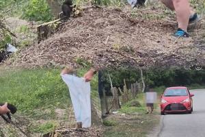 7189e5e9 3b99 4828 acd4 85b385279fc1 - (VIDEO) Pitești. A vrut să scape de pisici, dar s-a ales cu o amendă usturătoare