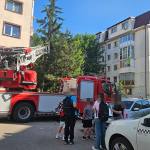 3eba3280 afd5 4138 a30e 457b883b0a50 - Panică într-un cartier din Pitești din cauza albinelor! Pompierii au intervenit de urgență