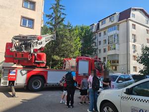 3eba3280 afd5 4138 a30e 457b883b0a50 - Panică într-un cartier din Pitești din cauza albinelor! Pompierii au intervenit de urgență