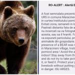 page - RO-ALERT după apariția unui urs la Institutul Pomicol din Mărăcineni. Ce decizie au luat autoritățile