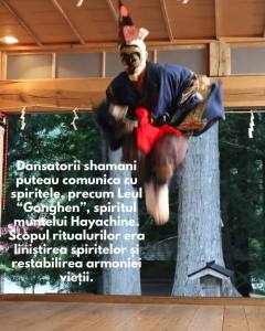 717994135 1446525437501799 2021426104373721319 n - Hayachine Kagura - spectacol japonez în această seară în centrul Piteștiului