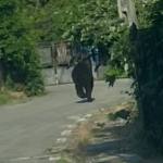 Foto Facebook Dorin Mărășoiu