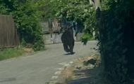 Foto Facebook Dorin Mărășoiu