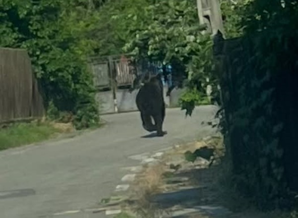 Foto Facebook Dorin Mărășoiu