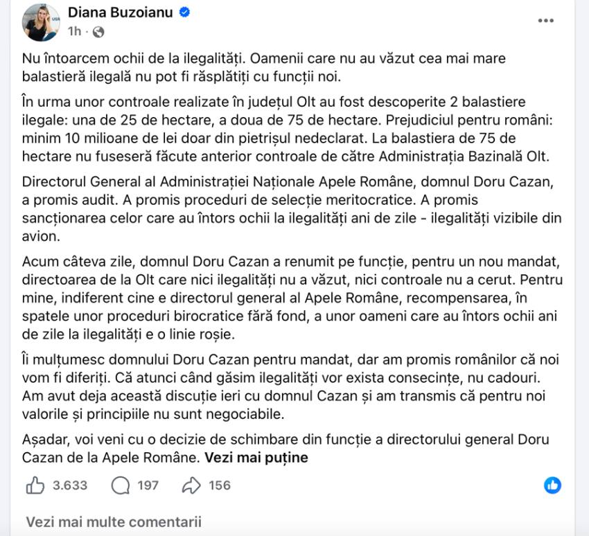 Sursă foto: FB Diana Buzoianu
