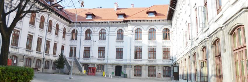 Colegiul National Zinca Golescu - Totul despre evaluarea națională și locurile la liceele din Argeș!