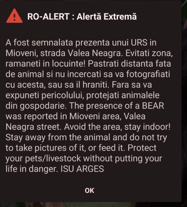 7c0b400c 0ce7 40eb bcd1 a26b8df6063c 1 - Urs semnalat în Mioveni. Autoritățile sunt în alertă
