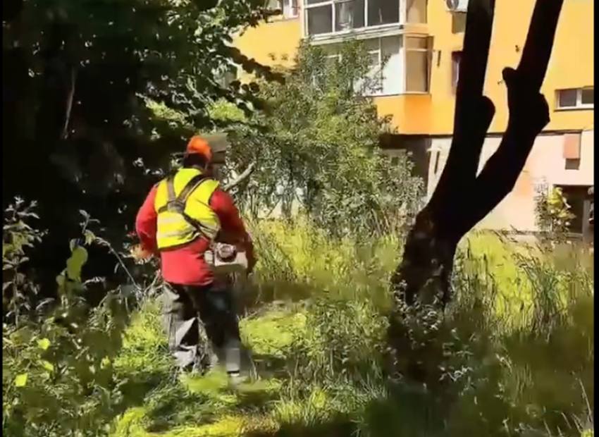 Sursă foto: screenshot FB ALina Gorghiu
