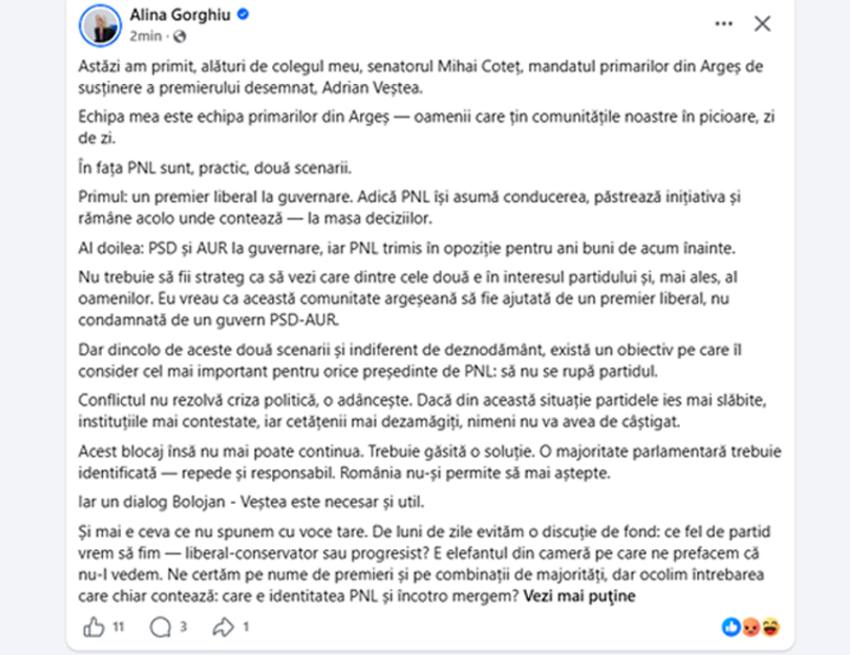 Mesaj tranșant din PNL Argeș: Alina Gorghiu spune că viitorul partidului se joacă acum și cere susținerea lui Adrian Veștea 1 alinagorhiou 12 - Mesaj tranșant din PNL Argeș: Alina Gorghiu spune că viitorul partidului se joacă acum și cere susținerea lui Adrian Veștea