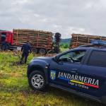 Firmă amendată cu 15.000 de lei în Argeș. Jandarmii au confiscat material lemnos 12 lemne control jandarmi Argeș