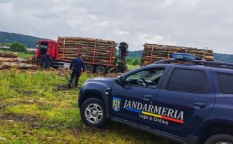 lemne control jandarmi Argeș