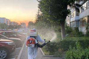 Sursă foto: FB Primăria MUnicipiului Pitești