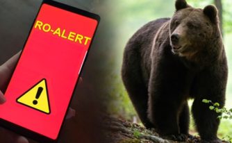 alertă urs Argeș Ro-Alert