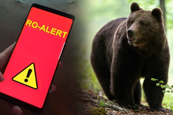 alertă urs Argeș Ro-Alert alertă urs Argeș Ro-Alert