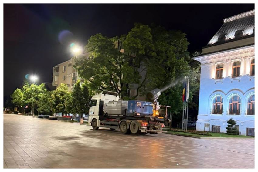 dezinsecție in Pitesti