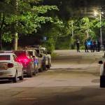 Strigăte de ajutor auzite din pădurea Trivale! Polițiști, pompieri și jandarmi, la fața locului 17 căutări Pădurea Trivale