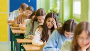 cats - Evaluarea Națională 2026 începe astăzi cu proba la Limba Română! Emoții mari pentru peste 148.000 de elevi