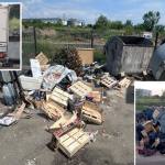 Sursă foto: Primăria Munciipiului Pitești