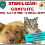 Joi la Costești! Sterilizări gratuite pentru câini și pisici! 10 z 6 - Joi la Costești! Sterilizări gratuite pentru câini și pisici!