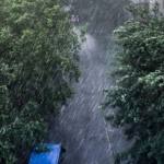 Foto: Getty Images/ descriptiv