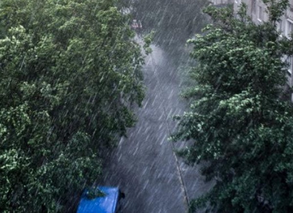 Foto: Getty Images/ descriptiv