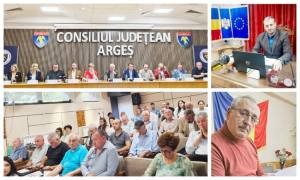 z 2 - Argeșul are aproximativ 85.000 de câini fără stăpân, iar cel mai mare adăpost din lume a ajuns la capacitate maximă