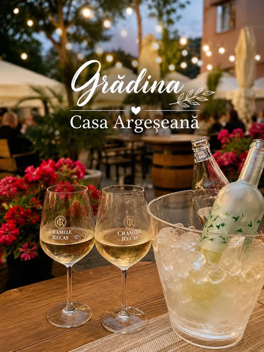 Casa Argeseana terasa