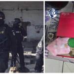 percheziții droguri
