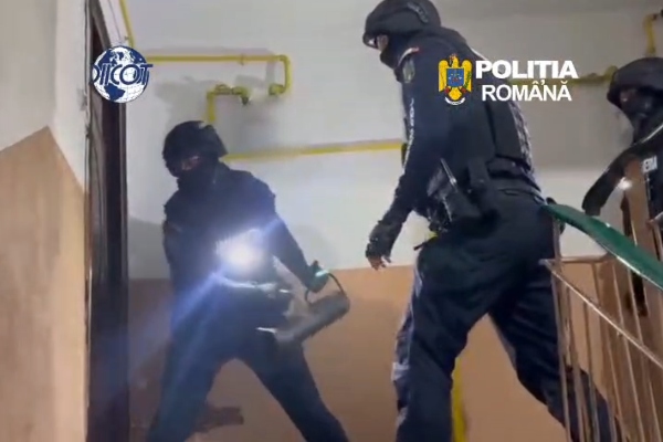 perchezitii trafic droguri argeș