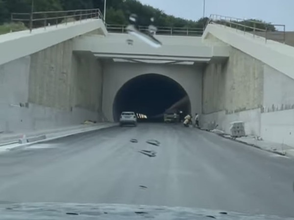 Sursă foto: captură video Irinel Ionel Scrioșteanu