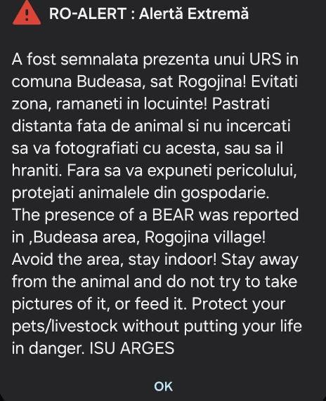 RO-Alert urși