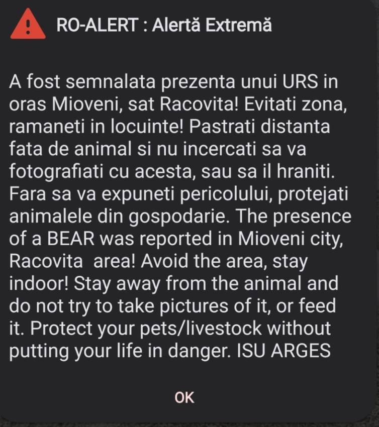97bdd392 13b4 4a53 a8d6 72406f82a0b3 - Alertă în Mioveni! A fost semnalată prezența unui urs