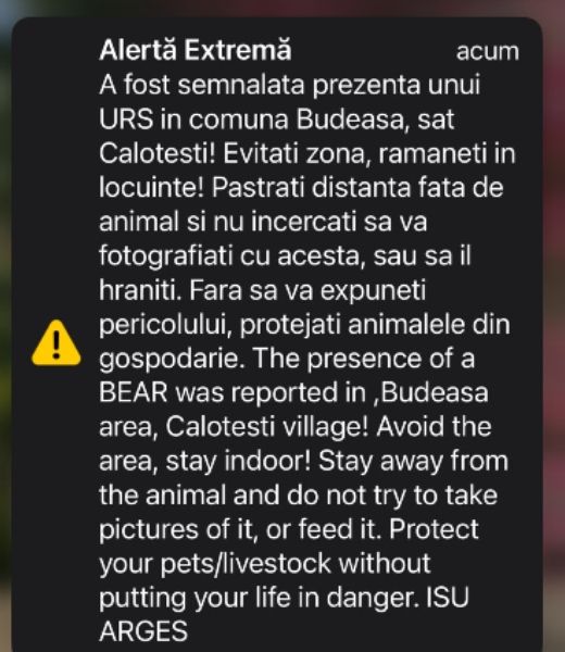 Alertă urs Budeasa