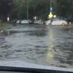 Vremea a făcut ravagii în Argeș: copaci doborâți și inunda 10 8a84a987 890f 4d6c 95c5 d15f5e881699 - Vremea a făcut ravagii în Argeș: copaci doborâți și inunda