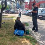 Sursă foto: Poliția Locală Pitești