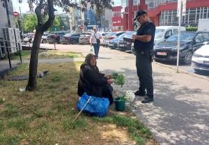 Sursă foto: Poliția Locală Pitești