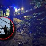 furtuna copac căzut întreruperi curent
