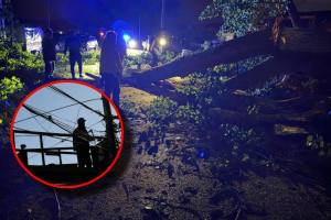 furtuna copac căzut întreruperi curent