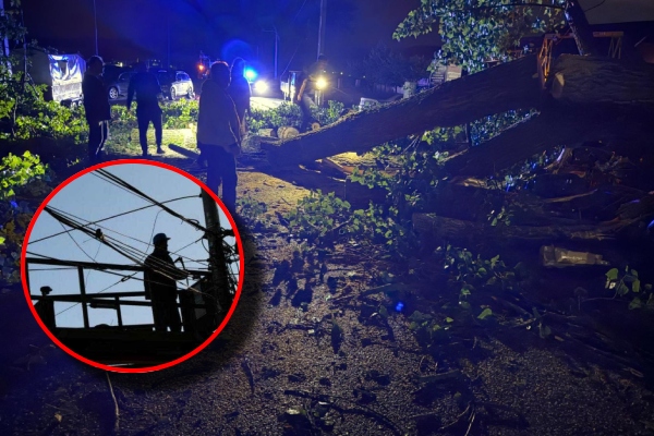 furtuna copac căzut întreruperi curent
