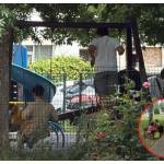 Sursă foto: Poliția Locală Pitești