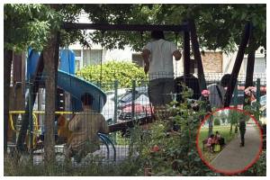 Sursă foto: Poliția Locală Pitești