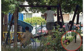 Sursă foto: Poliția Locală Pitești