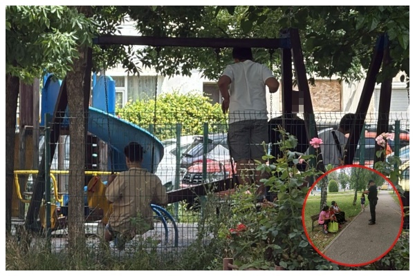Sursă foto: Poliția Locală Pitești