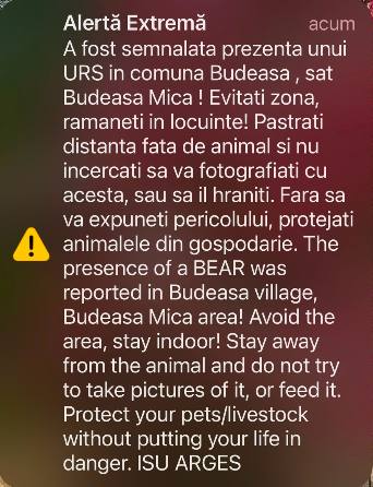 Untitled - RO-Alert în lanț: urși semnalați la Budeasa și Bascov! Oamenii, sfătuiți să rămână în case