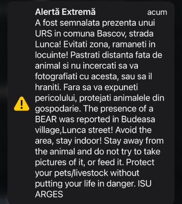 ro alert urs bascov - RO-Alert în lanț: urși semnalați la Budeasa și Bascov! Oamenii, sfătuiți să rămână în case