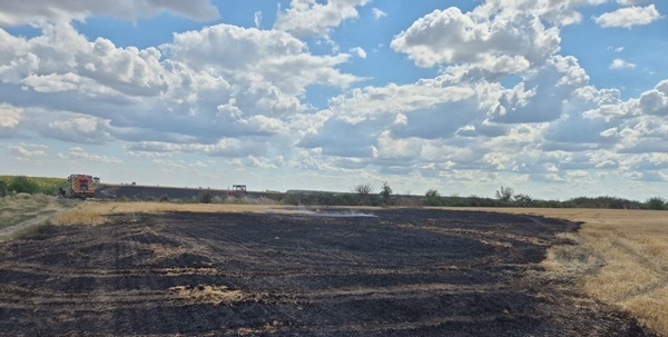 Argeș: O clipă de neatenție poate provoca un dezastru! 6 incendii de vegetație în doar 24 de ore 2 Incendiu Teiu - Argeș: O clipă de neatenție poate provoca un dezastru! 6 incendii de vegetație în doar 24 de ore